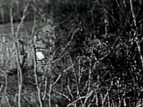 森林防火多火點識別