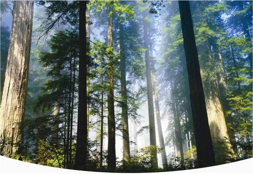 森林防火監(jiān)控系統(tǒng)