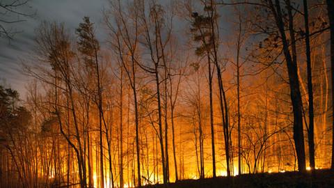 森林防火監控系統