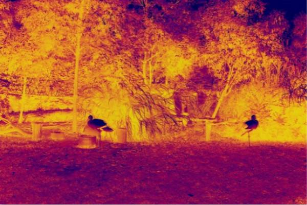 森林防火監控系統紅外熱成像技術