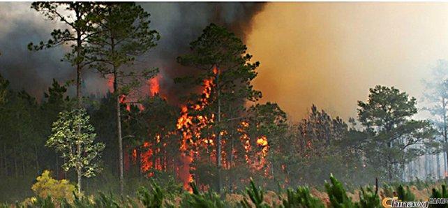 森林防火人人有責(zé)